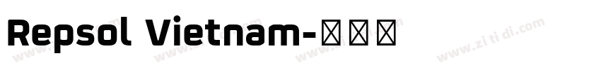 Repsol Vietnam字体转换